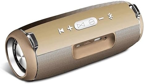 Outdoor Speaker for Party, Travel, Sport